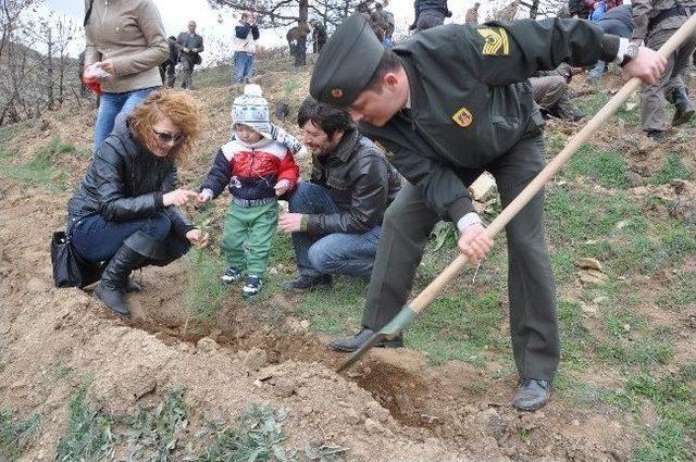 Uşak Jandarması Yanan Ormana 500 Fidan Dikti