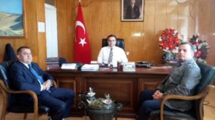 Melengi&ccedil; Ağa&ccedil;ları Aşılanıyor