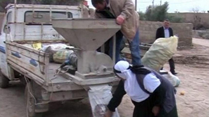 Ekmeğini Mısır &Ouml;ğ&uuml;terek &Ccedil;ıkarıyor