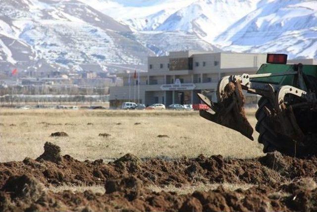 Etü Kampüsü Ağaçlandırılıyor