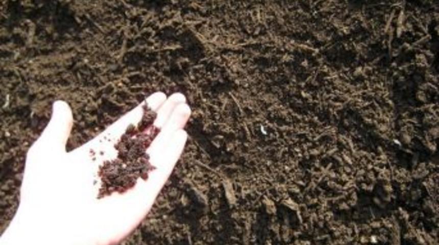 &Ccedil;ay Ve Fındık Tarımında G&uuml;brelemede Dikkat Edilecek Hususlar