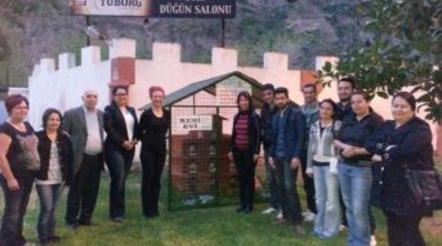 Aydın'da Sokak Kedilerin De Evi Oldu