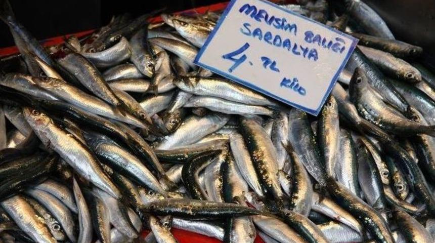 Ucuzlayan Balığa B&uuml;y&uuml;k İlgi