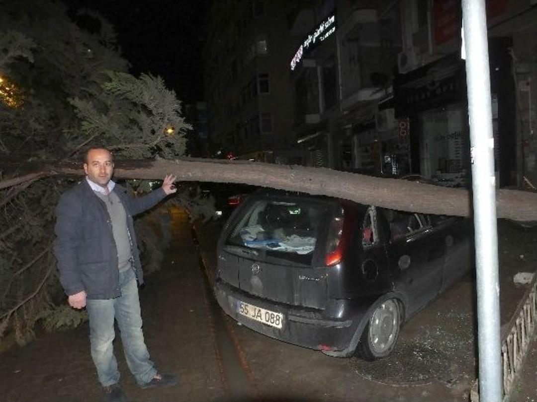 Samsun'da Şiddetli R&uuml;zgar Ağa&ccedil; Yıktı