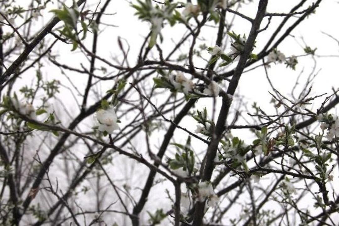 Iğdır&rsquo;da Kar Yağışı