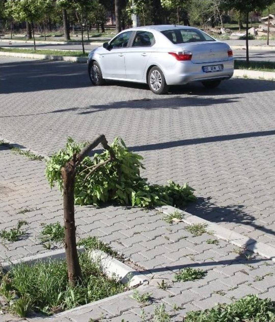 Adana'da Fırtına Hayatı Olumsuz Etkiledi