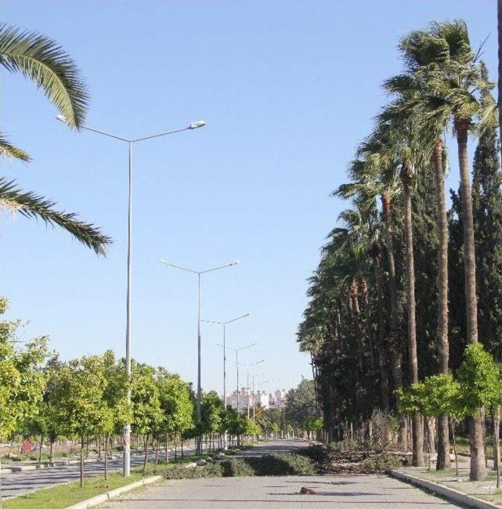 Adana'da Fırtına Hayatı Olumsuz Etkiledi G4