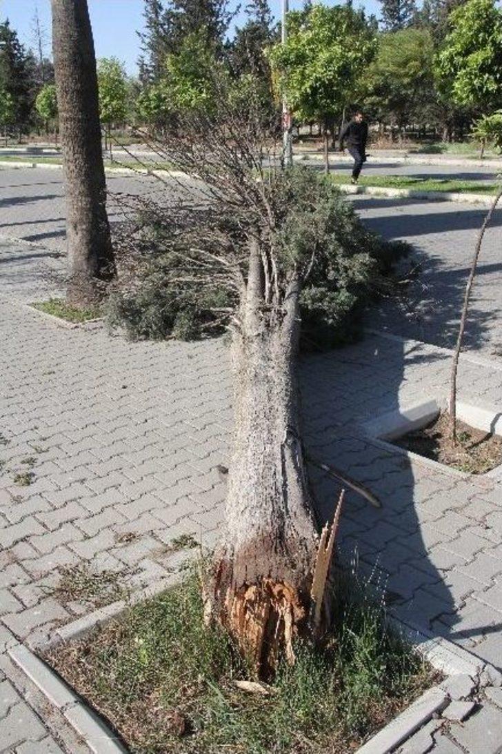 Adana'da Fırtına Hayatı Olumsuz Etkiledi G5