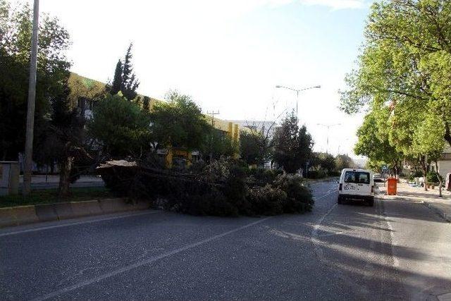 Gaziantep’te Şiddetli Fırtına Her Şeyi Uçurdu