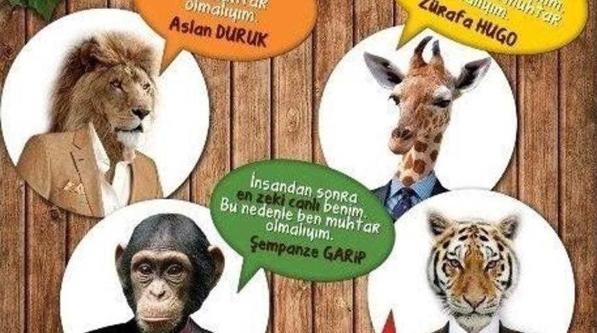 Darıca Hayvanat Bah&ccedil;esi'nde Muhtarlık Se&ccedil;imi