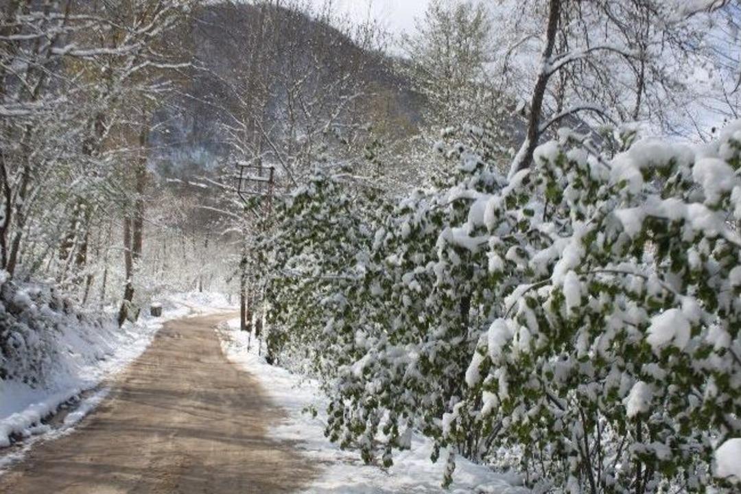 Kumru&rsquo;da Kar Yağışına Rağmen Se&ccedil;men Oy Vermeye Koştu