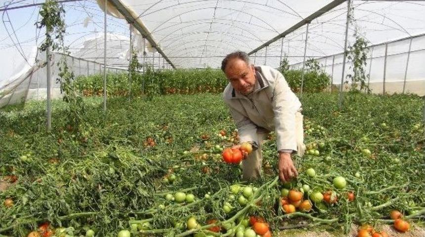 Silifke&rsquo;de Fırtına Seraları Vurdu