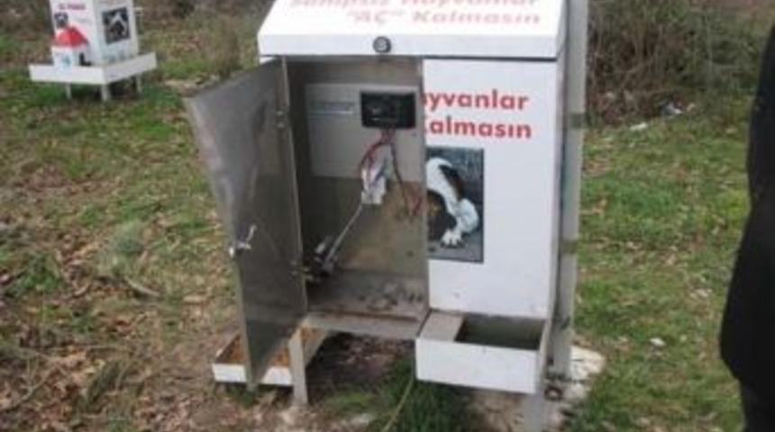 Sokak K&ouml;peklerine Yem Bırakıldı