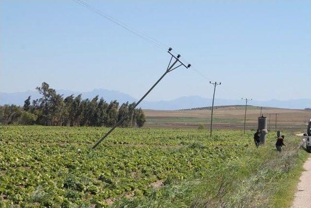 Poyraz Yumurtalık’ta Hayatı Felç Etti