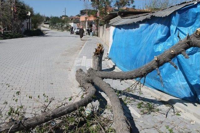 Poyraz Yumurtalık’ta Hayatı Felç Etti