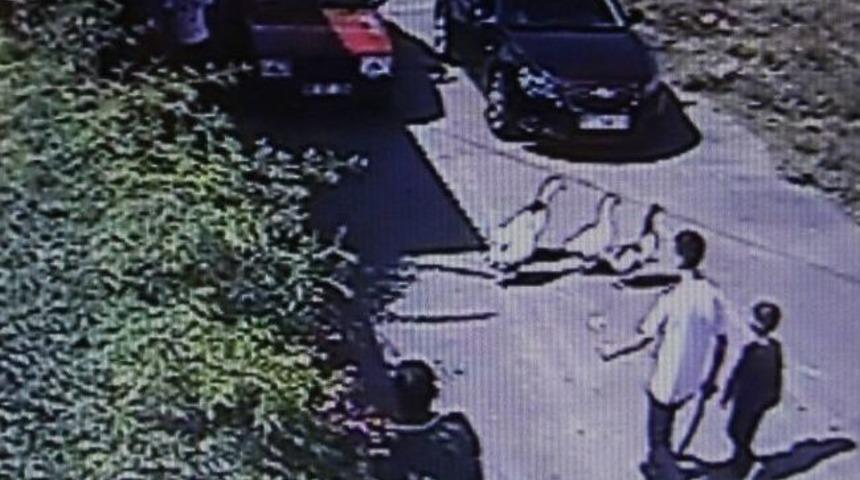 Kaza Taş Atma Cinayeti Davası Samsun'a Taşındı