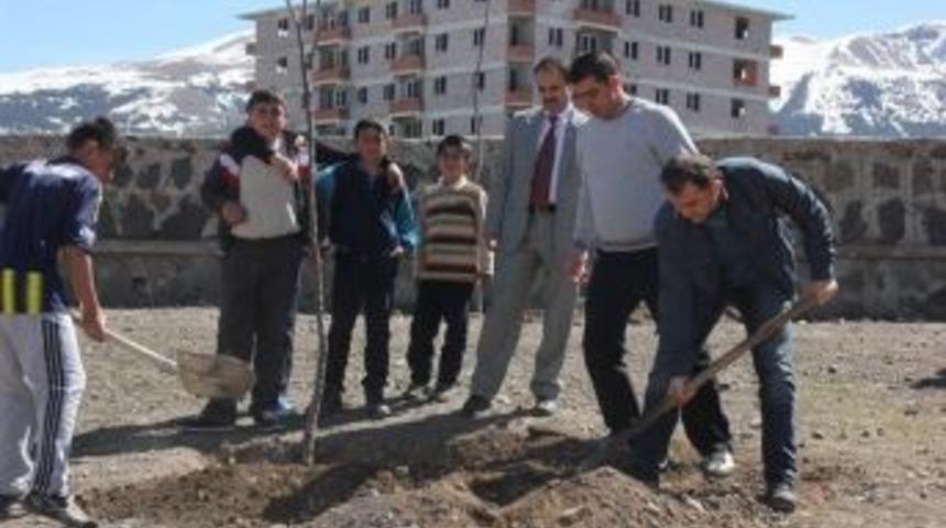 Okul Bah&ccedil;eleri Ağa&ccedil;landırılıyor