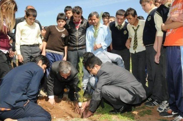 Öğrenciler Fidan Dikti G1