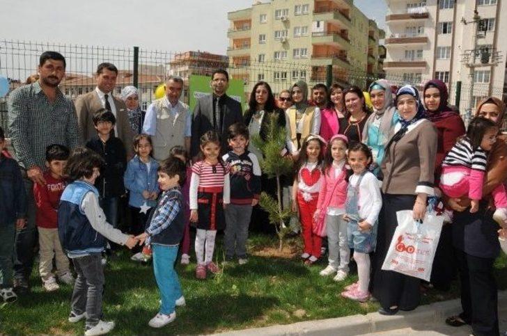 Öğrenciler Fidan Dikti G3