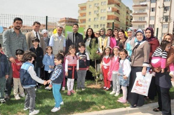 Öğrenciler Fidan Dikti G5