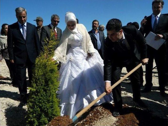 Gelinlik Ve Damatlıkla Ağaç Diktiler