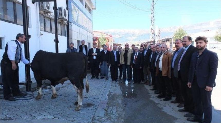 Se&ccedil;im İ&ccedil;in "adakta" Bulundu