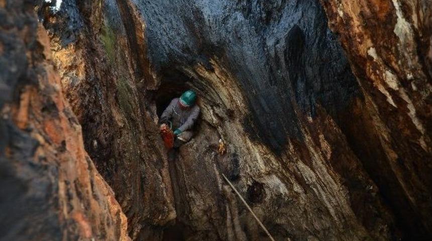 İzmir'de Doğa Ve Tarihe Saygı