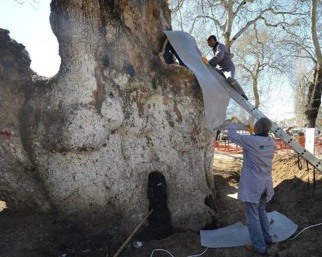 İzmir de Doğa Ve Tarihe Saygı 1