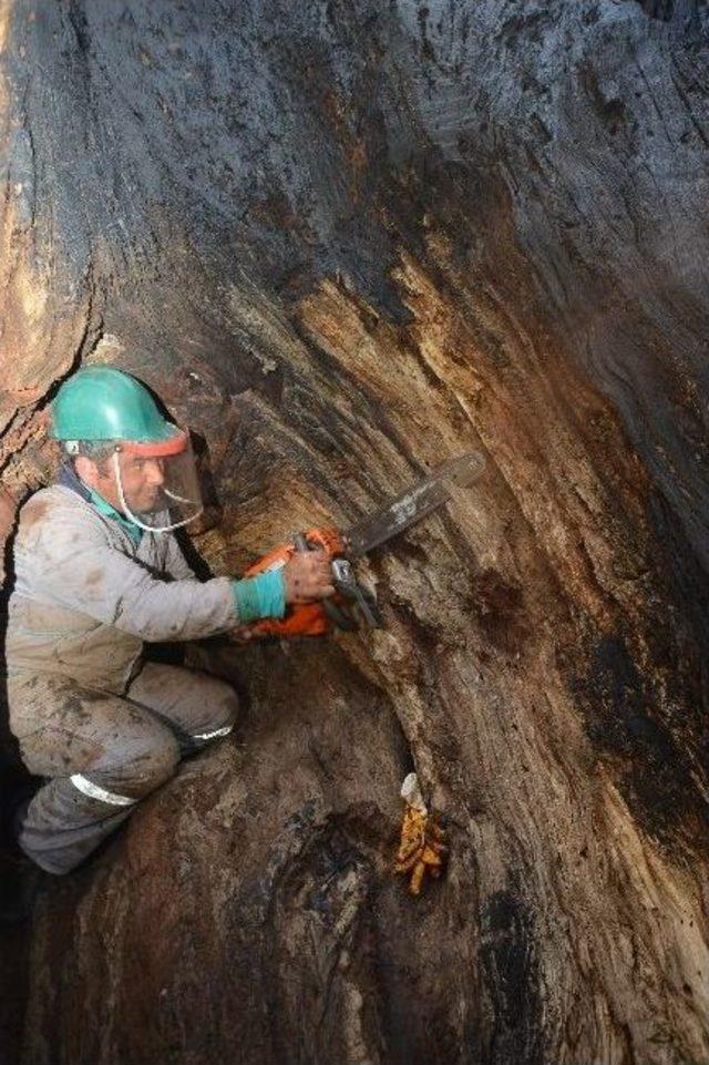 İzmir de Doğa Ve Tarihe Saygı 3