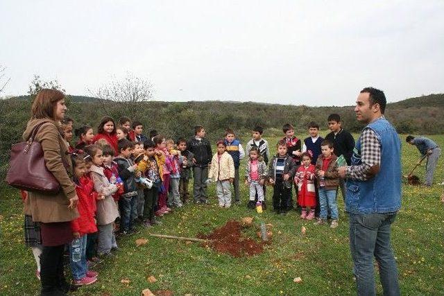 Öğrenciler, Fidan Dikmek İçin Birbiriyle Yarıştı