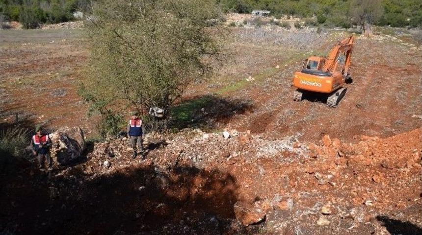 Define Avcıları Ka&ccedil;amadı