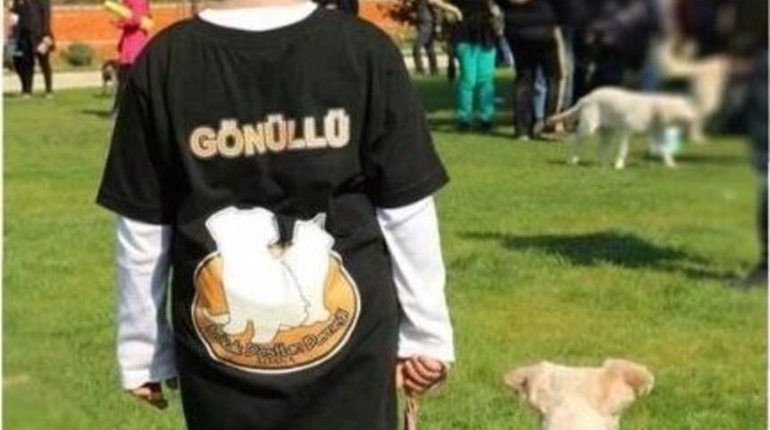 Sokak Dostları Derneği 'can Dostlarını' Sahiplendiriyor