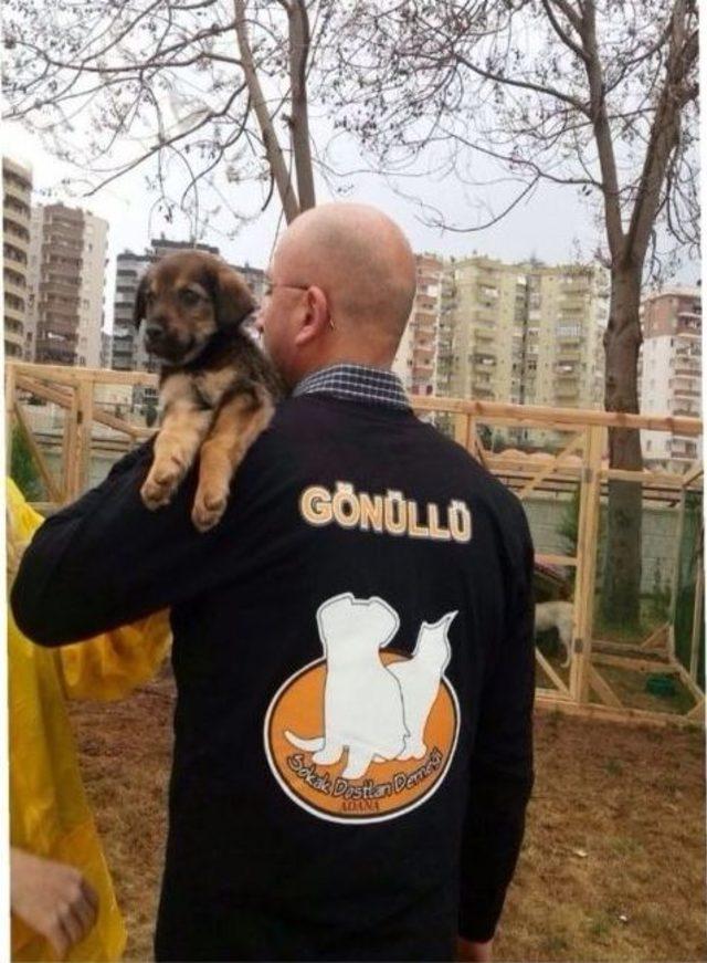 Sokak Dostları Derneği can Dostlarını Sahiplendiriyor 1