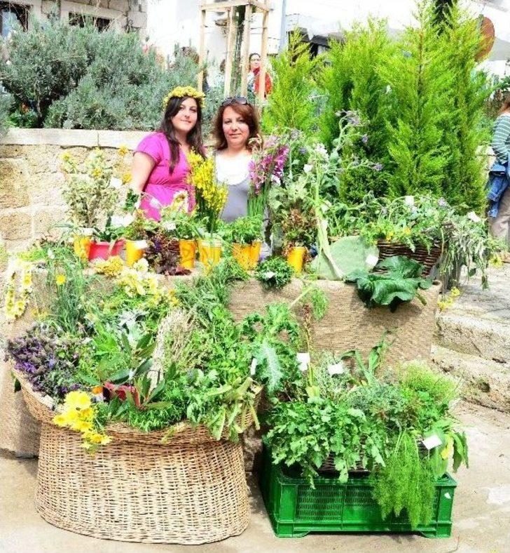 Alaçatı Ot Festivali, "arapsaçı" Temasıyla 10-14 Nisan'da G4