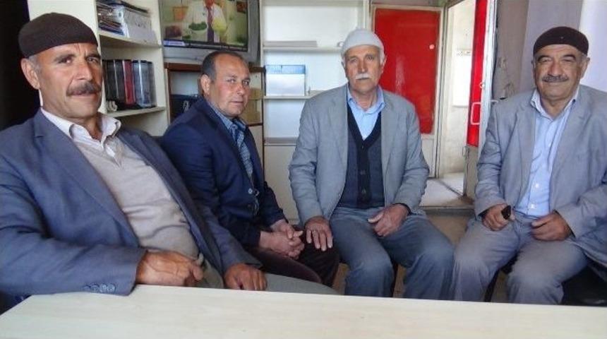 Kar, Fırtına Ve Don Ekili Arazilere Zarar Verdi