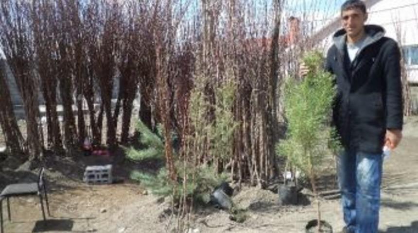 Varto&rsquo;da Meyve Fidanı Satışı