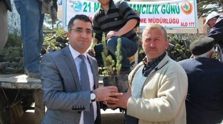 Pazarlar&rsquo;da &Uuml;cretsiz 4 Bin 100 Adet Fidan Dağıtıldı