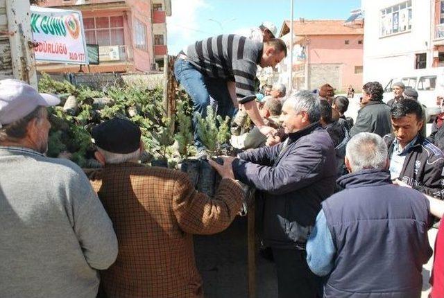 Pazarlar&rsquo;da &Uuml;cretsiz 4 Bin 100 Adet Fidan Dağıtıldı 2
