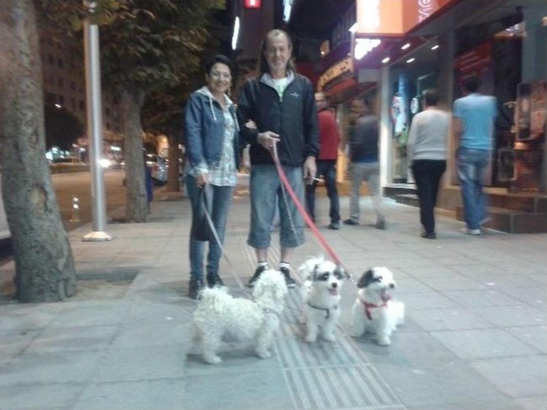 &Ccedil;orum&rsquo;da Pitbull Dehşeti