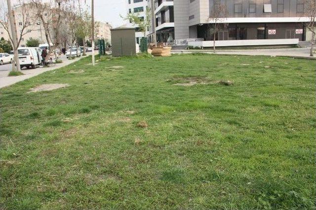 75&rsquo;lik Nine Yeşil Alan İ&ccedil;in 40 Yasin Adadı 2