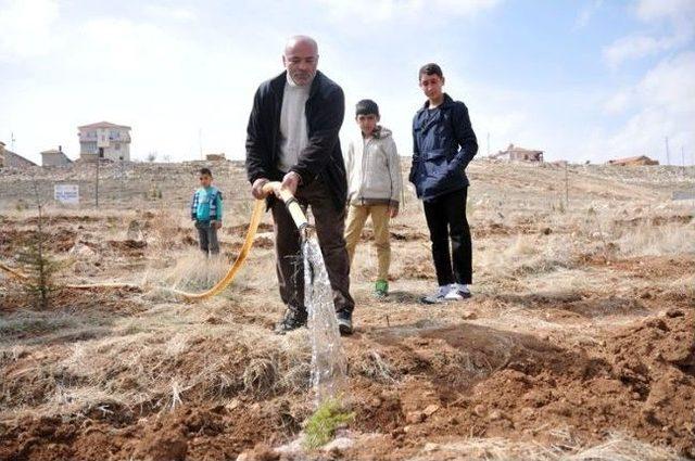 Karaman’da Hacı Adayları Fidan Dikti