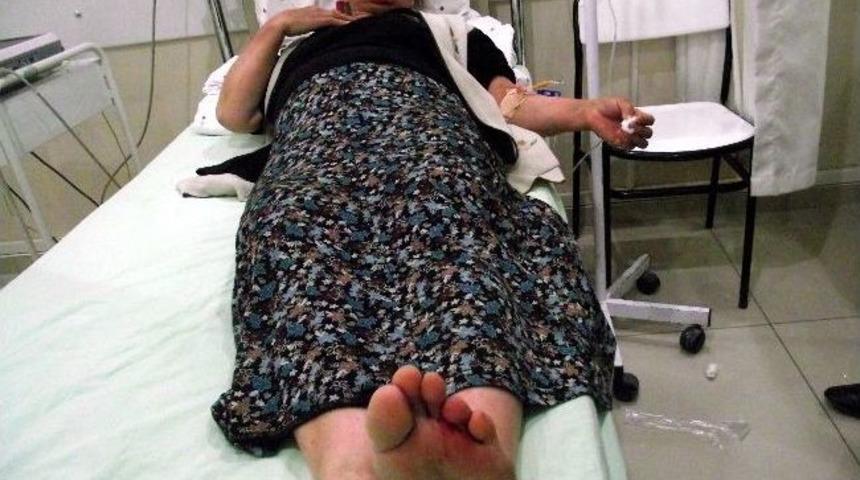 Akrebin Soktuğu Kadın Hastanelik Oldu