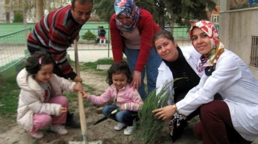 Anaokulu &Ouml;ğrencileri Fidan Dikti
