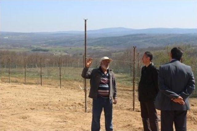 Kırklareli İl Gıda, Tarım Ve Hayvancılık M&uuml;d&uuml;r&uuml; Ke&ccedil;eci&rsquo;den İşletmelere Ziyaret 1