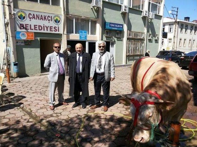 Belediye Başkanı Kasım Mazbatasını Aldı