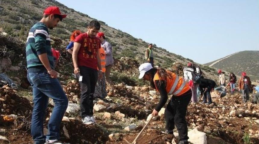 Her Sd&uuml;&rsquo;l&uuml;n&uuml;n Bir Ağacı Olacak