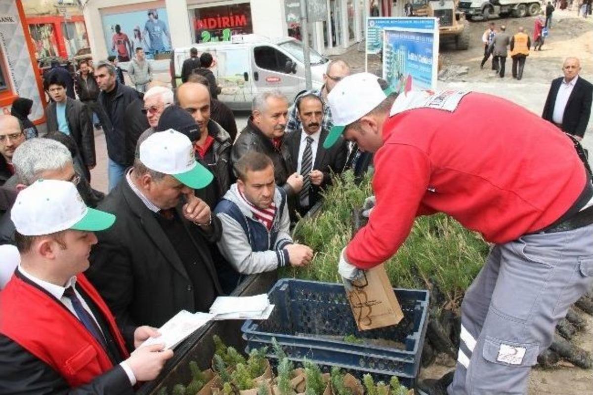 Kızılay, Vatandaşa 500 Fidan Dağıttı