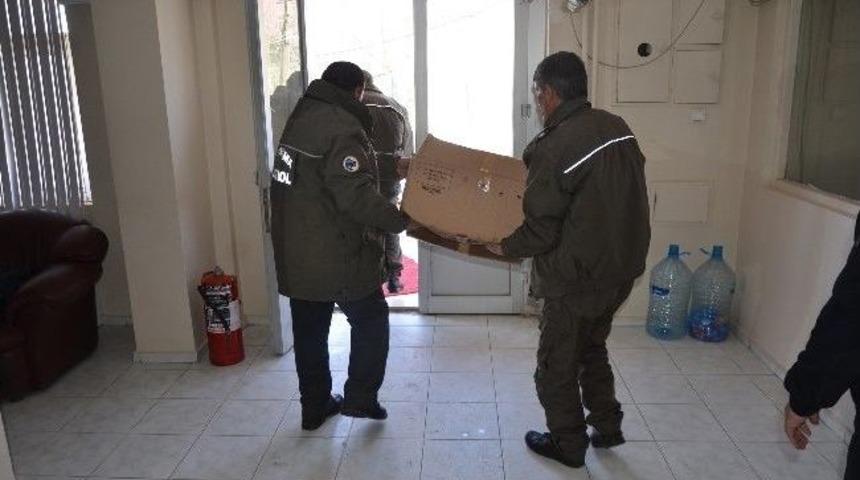 Gri Balık&ccedil;ıl Donmaktan Kurtarıldı