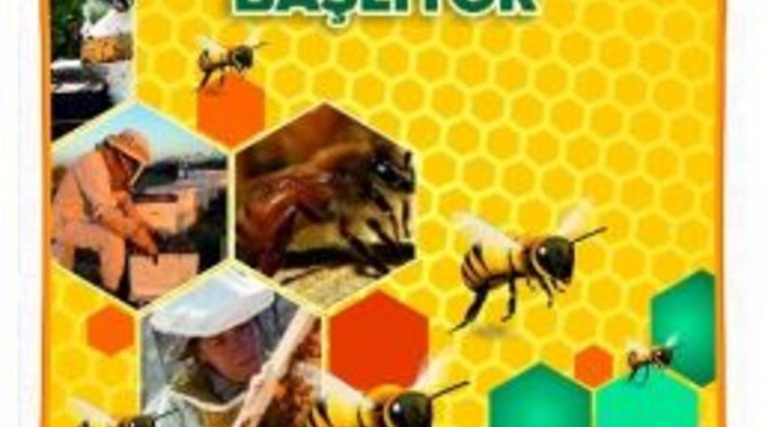 Melikgazi Belediyesi'nden Arıcılık Kursu