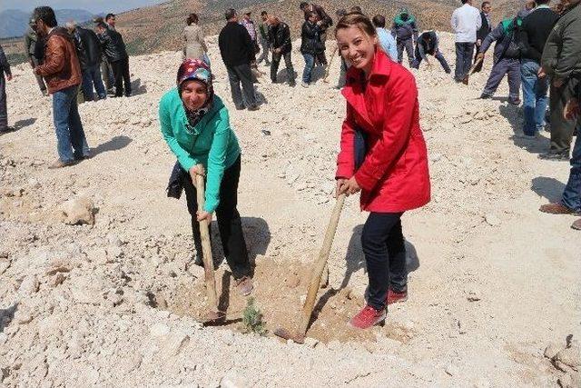 Mut&rsquo;ta Maden Sahasına 12 Bin 700 Fidan Dikildi 2